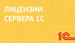 1С:Предприятие 8.3. Сервер МИНИ на 5 подключений. Электронная поставка